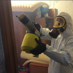 Уничтожение клопов в квартире. Уфа